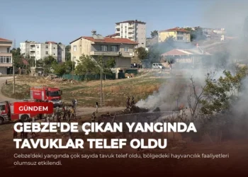 news card 83abd91875147f65