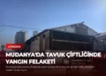 news card 85d3c33370e3f60e