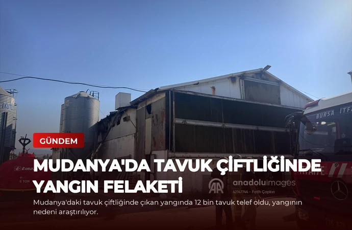 news card 85d3c33370e3f60e