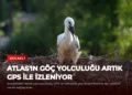 news card 8fc43ee36838e7e2