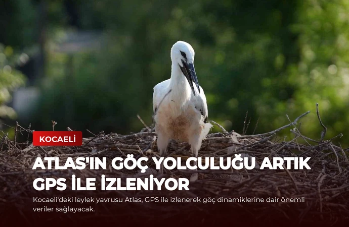 news card 8fc43ee36838e7e2