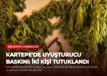 news card 947f17816acf2d1a