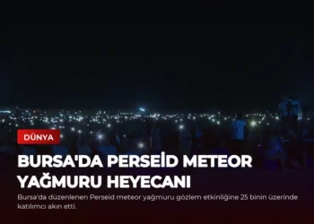 news card 9655a3f709d15519