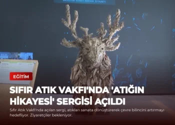 news card 966a8dd982bce76c