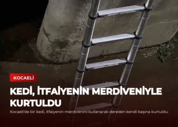 news card a335622ab853ea16