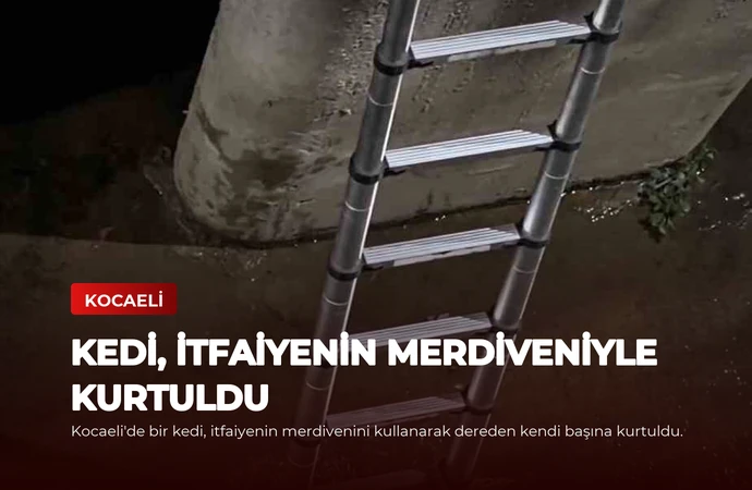 news card a335622ab853ea16