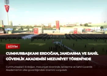news card a499fb116d26793f