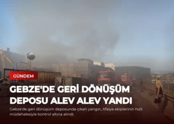 news card a73b2c8b83b867c0