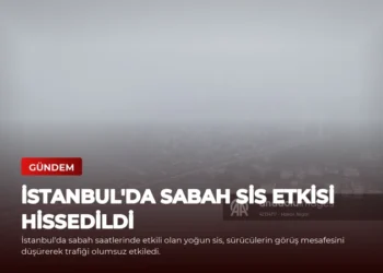 news card ad3ed8a6a5b5467f