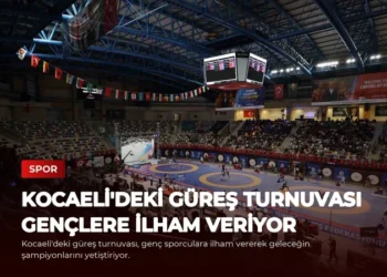 news card ad7e01ecf6ef3dc7