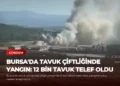 news card af258cb5b1760a53