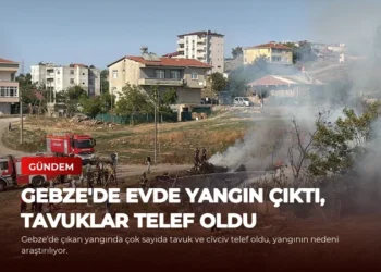 news card b04ca0e5c59f4543