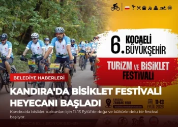 news card b1777c7a2d23d183