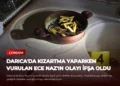 news card b3d41a2e6cb88240