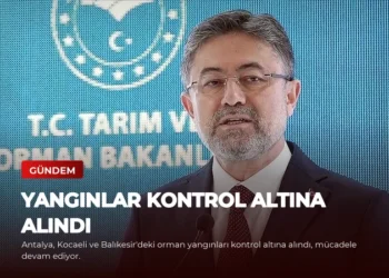 news card b59b13bc06b13114