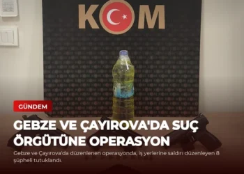 news card b9c3f05398d700ff