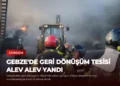 news card bf2aedc1b9a6b3cf