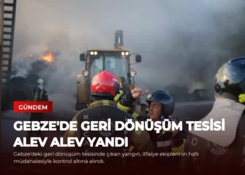 news card bf2aedc1b9a6b3cf