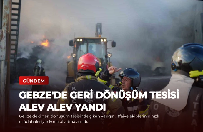 news card bf2aedc1b9a6b3cf