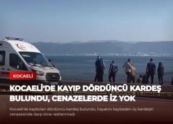 news card c3a65d28d2a67638