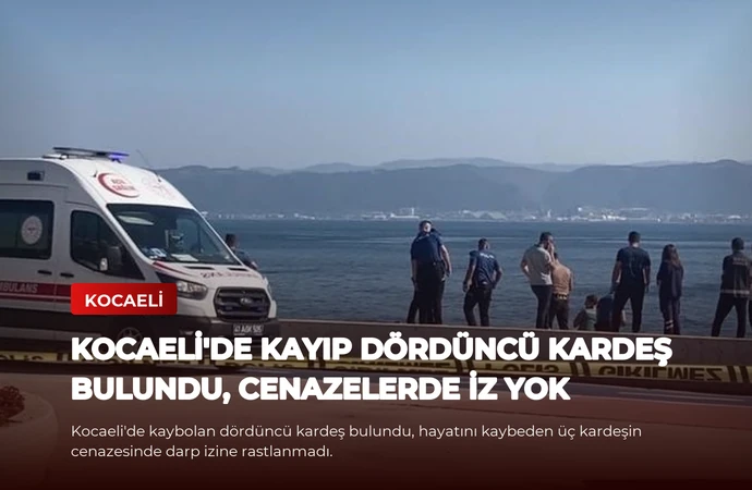 news card c3a65d28d2a67638
