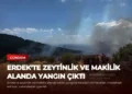news card c5996925fd108d56