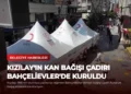 news card c631a95048384f71