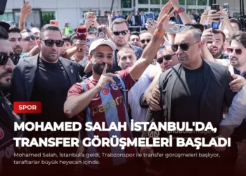 news card c7c042d331272291