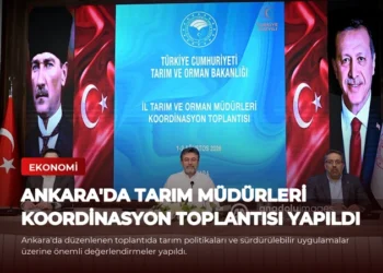 news card c83b2856d1fb54df