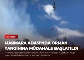 news card c8f613de6991d8ab