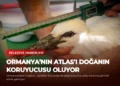 news card ced1d48173a51619