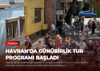 news card cf3f7c1605293575