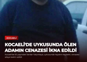 news card d032d4370818ccf2