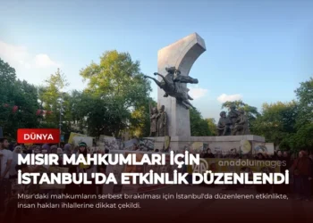 news card d1b6361953101a4e