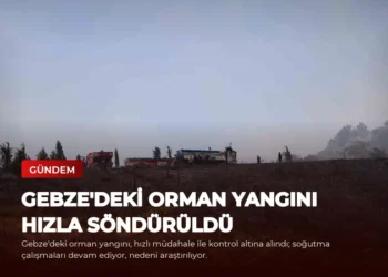 news card d5384626b08ba29e
