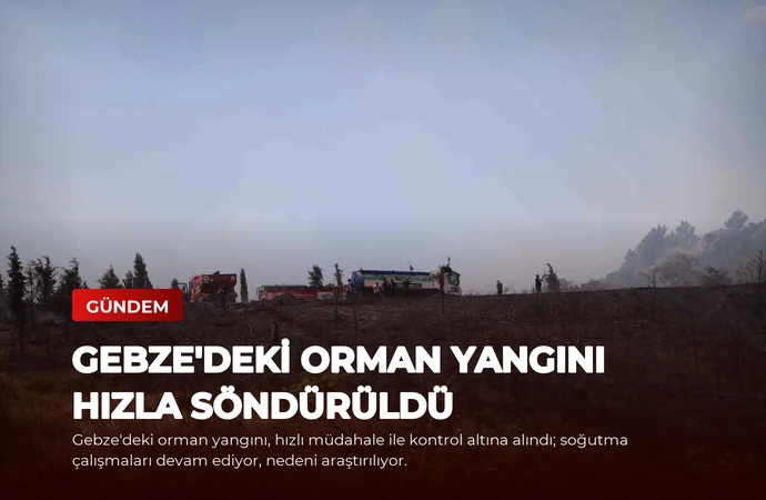 news card d5384626b08ba29e