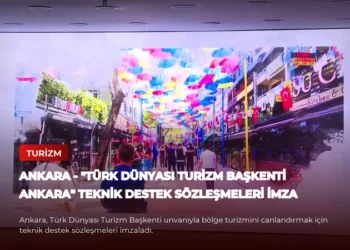 news card d652303f1d4370bb