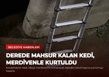 news card d6b0f5c354565ee9