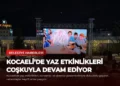 news card d7b77b2850ca75f1