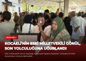 news card d8e1d16fb8700a31