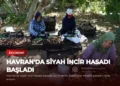 news card e1a0a01913f5c22a