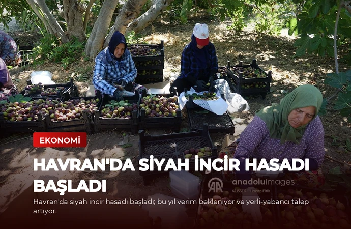news card e1a0a01913f5c22a