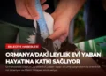 news card e75d8e4af38397f3