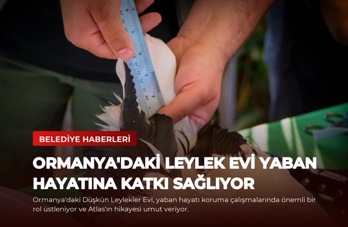 news card e75d8e4af38397f3