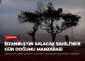 news card ecef5ee09a664131