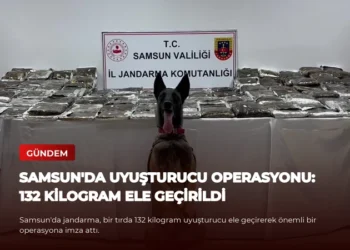 news card ee9e21f52d6550df
