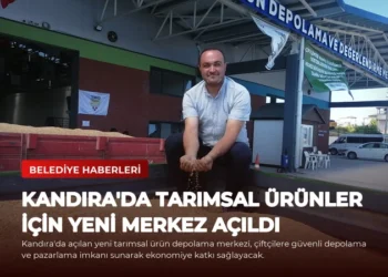 news card ef245ee0662a01e1