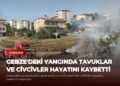 news card f55c8fbc31623196