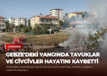 news card f55c8fbc31623196