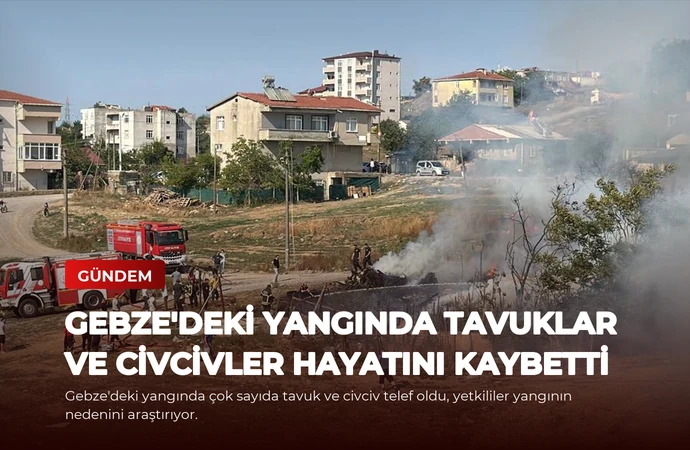 news card f55c8fbc31623196